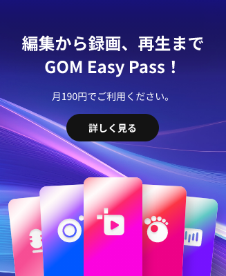 gom easy pass